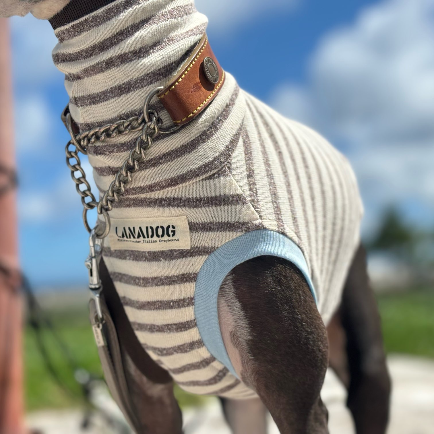 クリックで画像を表示