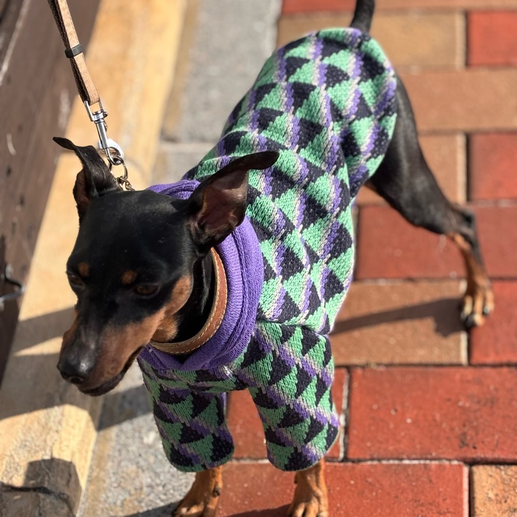 クリックで画像を表示