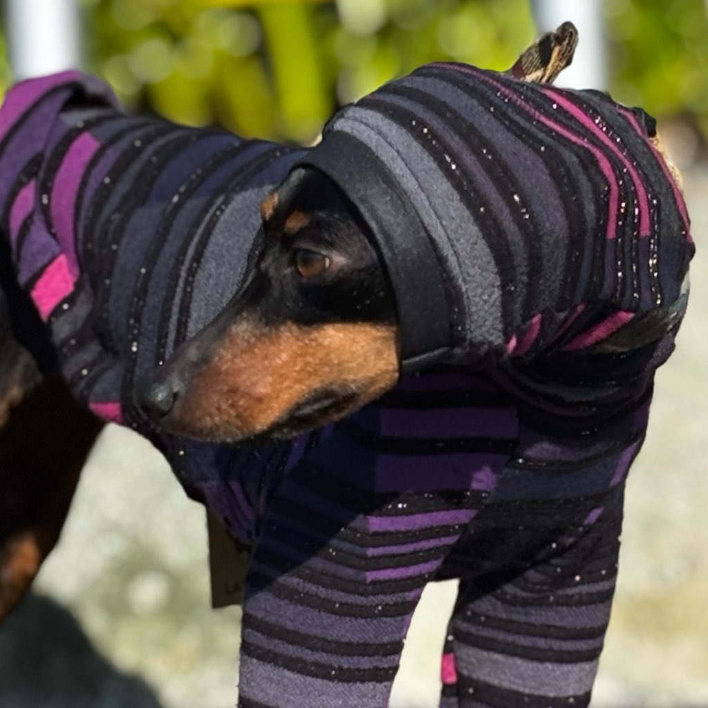 クリックで画像を表示