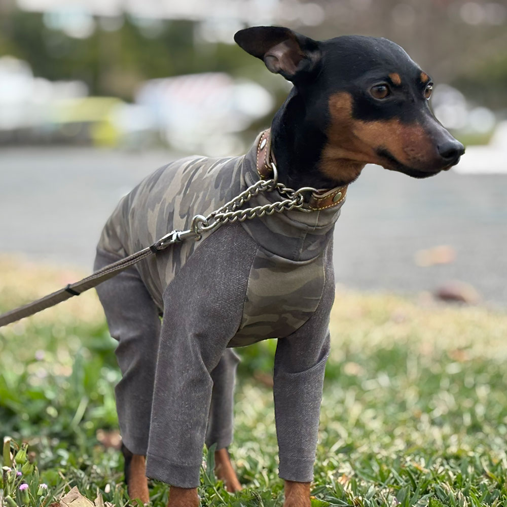 クリックで画像を表示