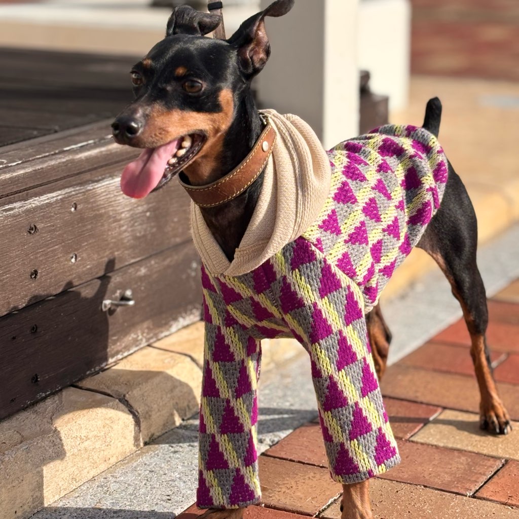 クリックで画像を表示