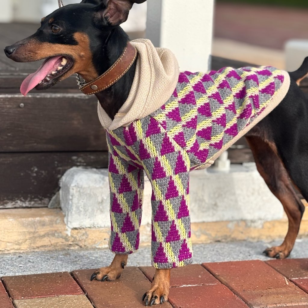 クリックで画像を表示