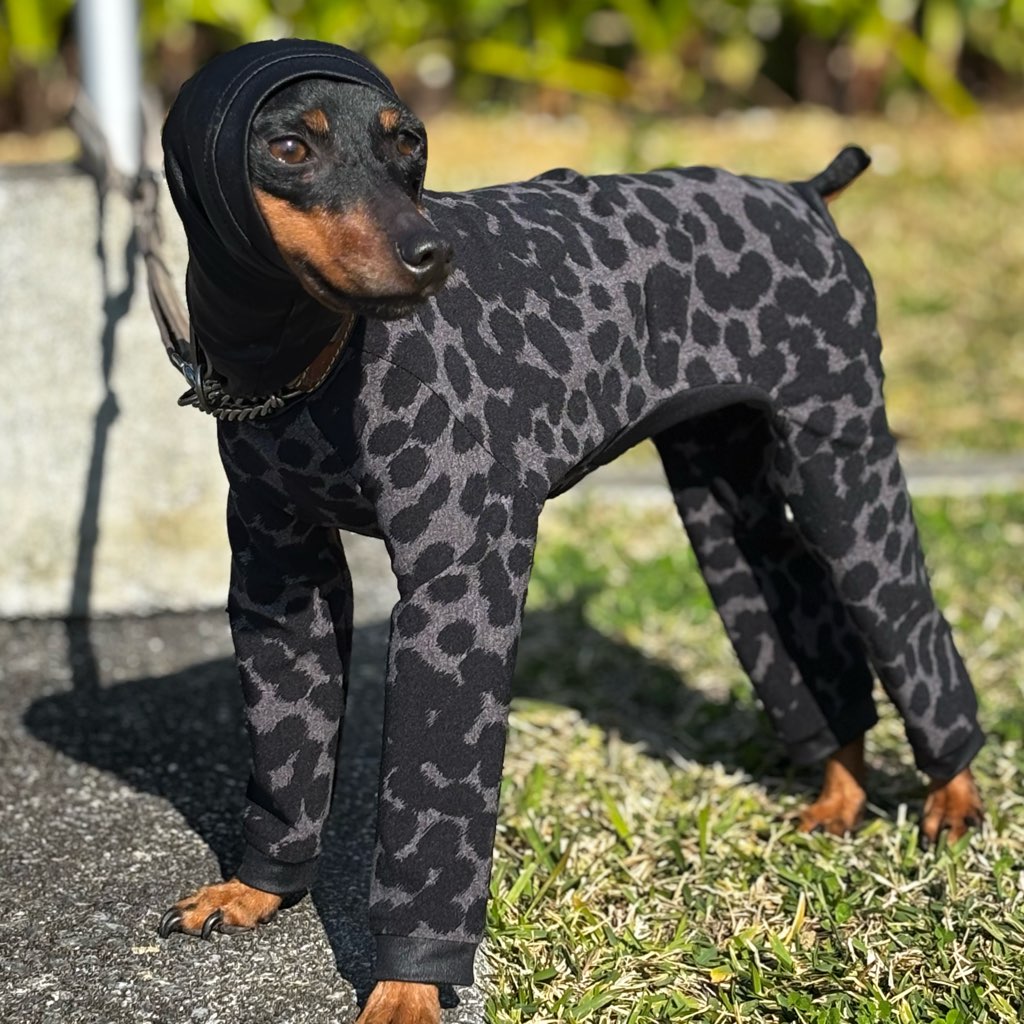 クリックで画像を表示