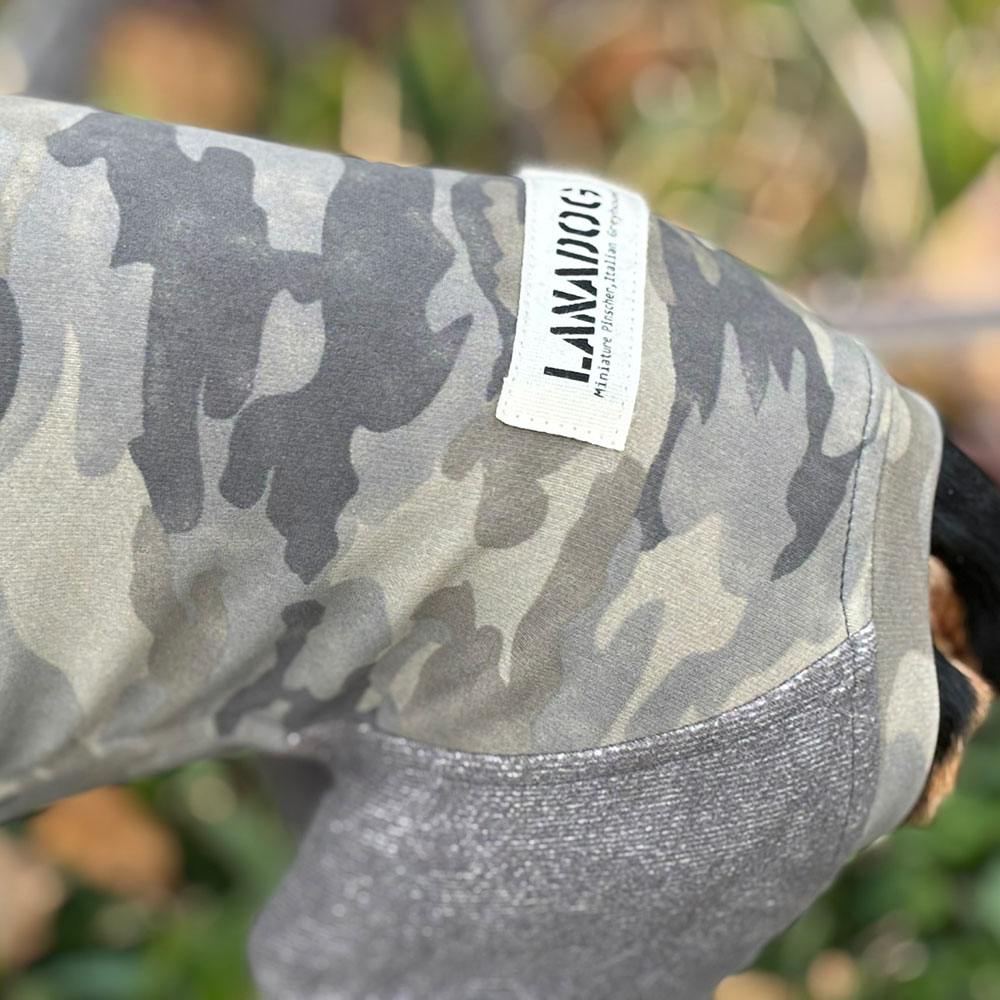 クリックで画像を表示