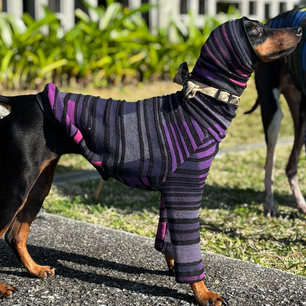 クリックで画像を表示