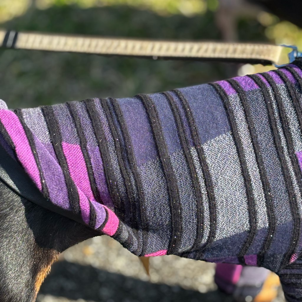 クリックで画像を表示