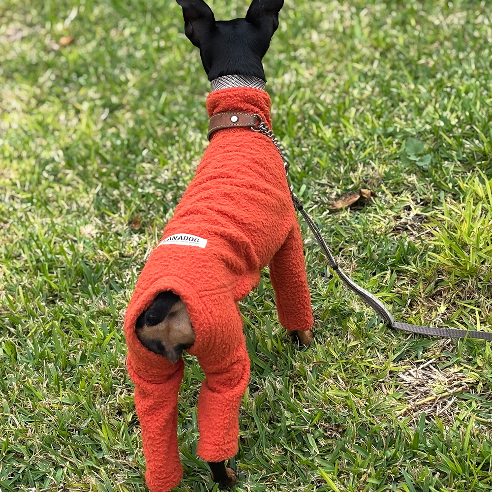 クリックで画像を表示