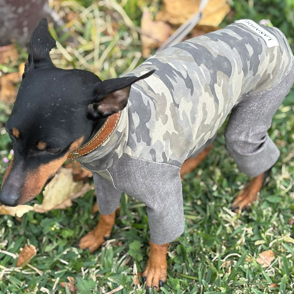 クリックで画像を表示