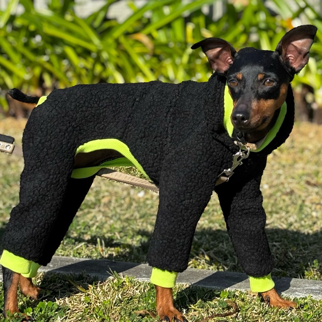 クリックで画像を表示