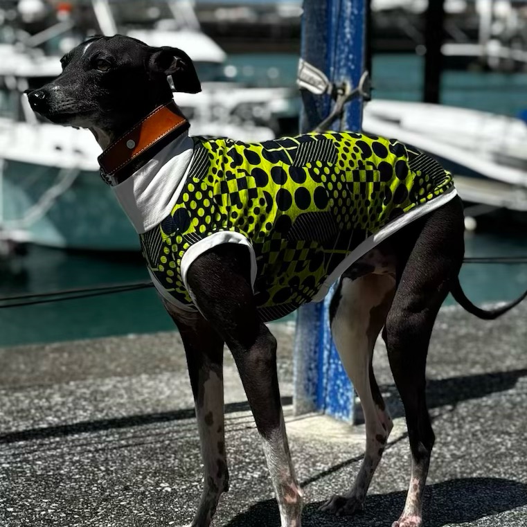 クリックで画像を表示