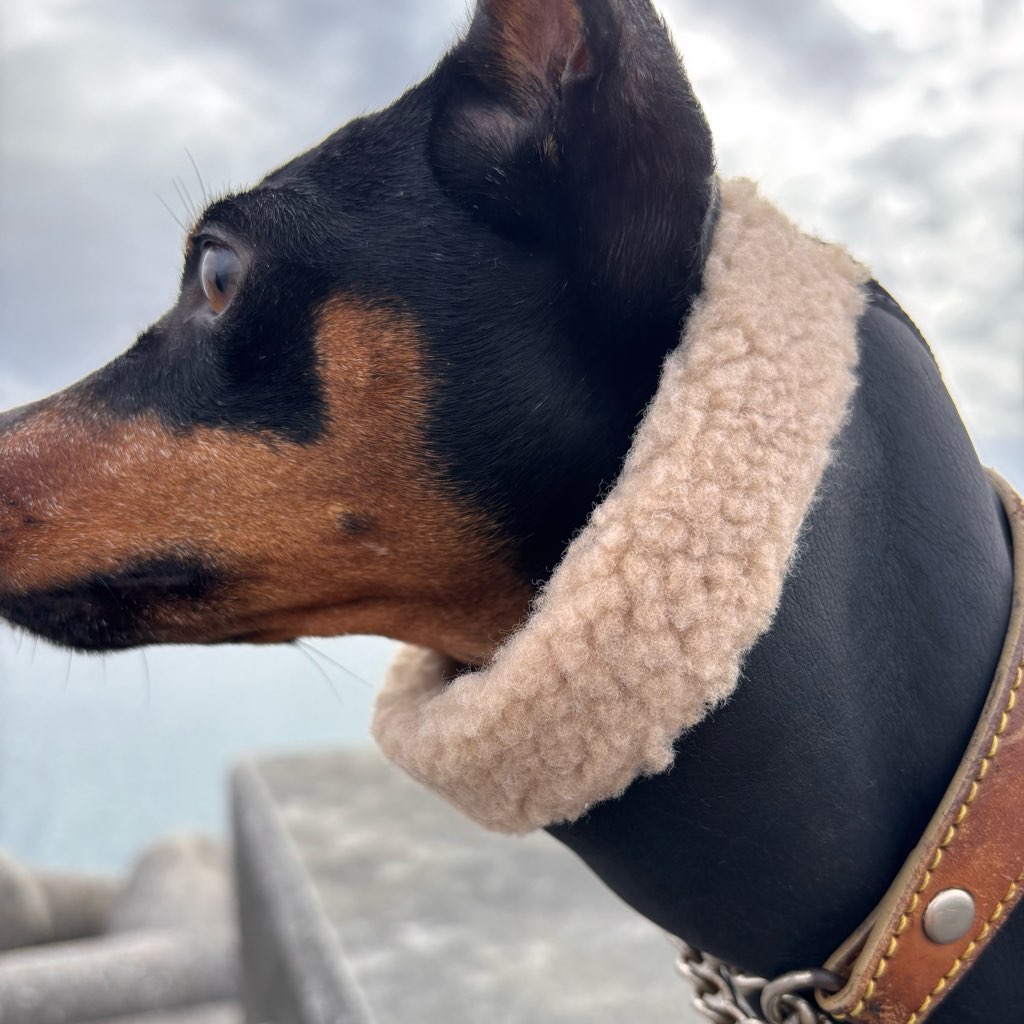 クリックで画像を表示