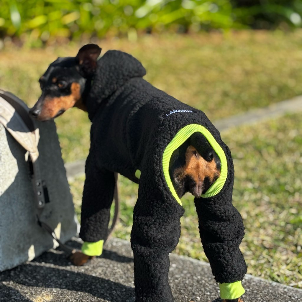 クリックで画像を表示