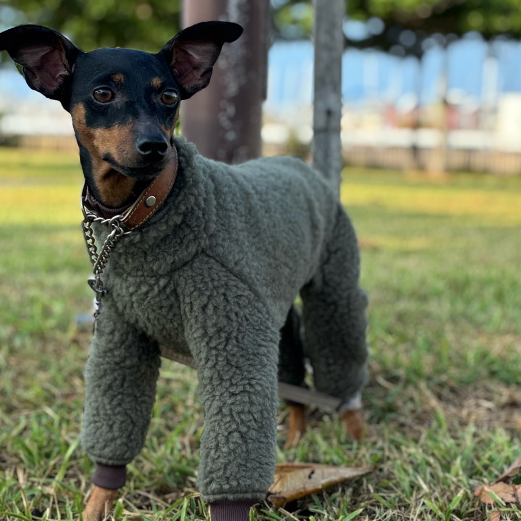 クリックで画像を表示