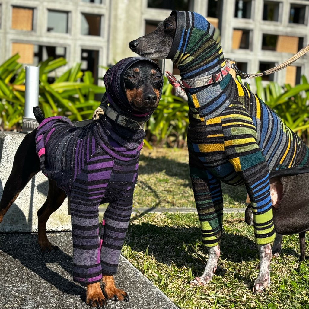 クリックで画像を表示