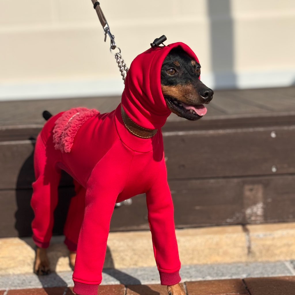 クリックで画像を表示