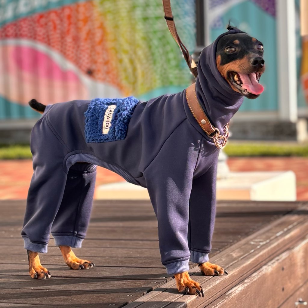 クリックで画像を表示