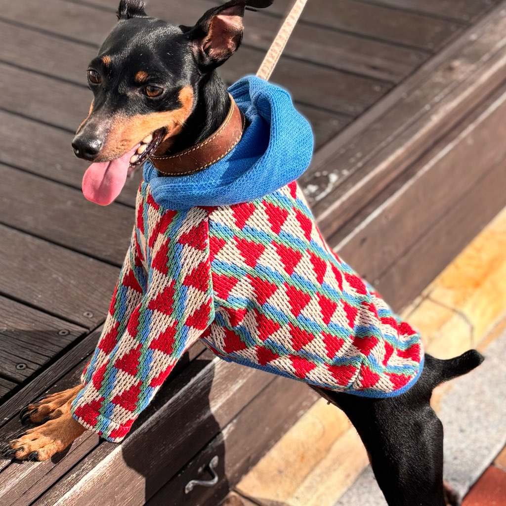 クリックで画像を表示