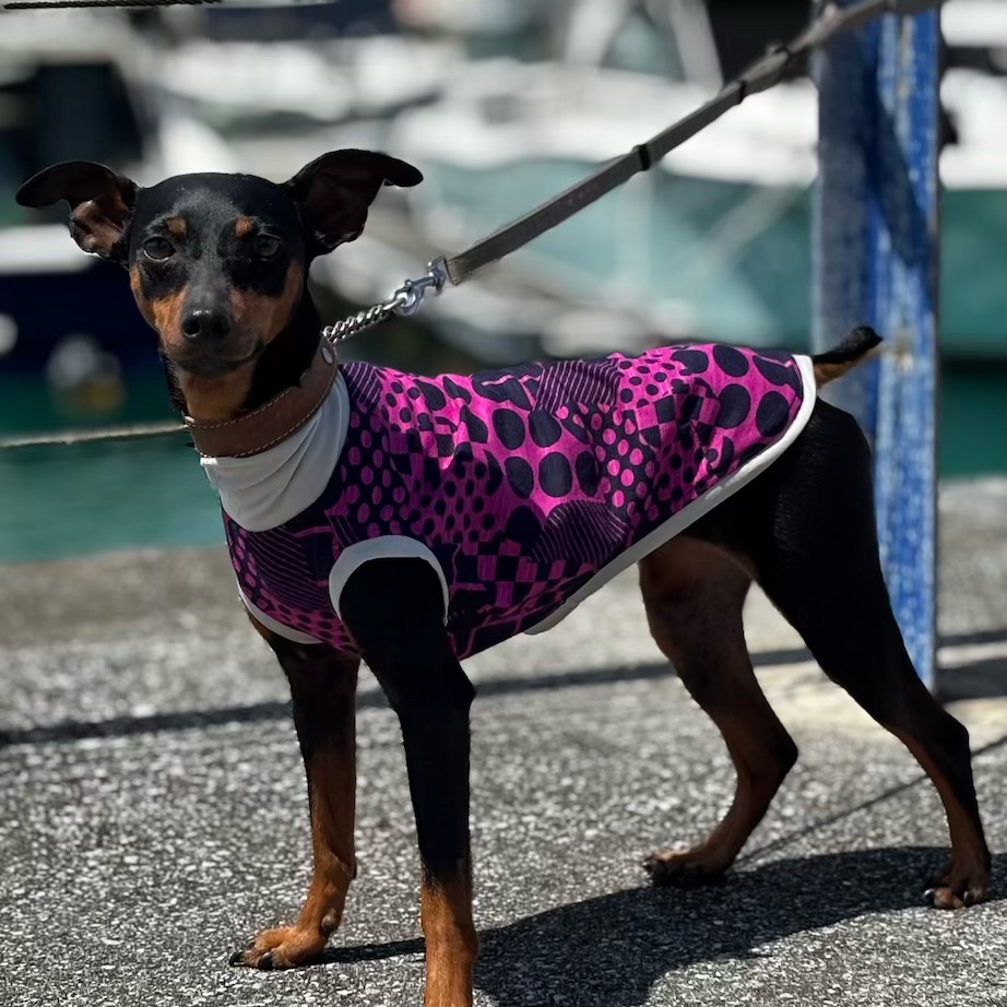 クリックで画像を表示