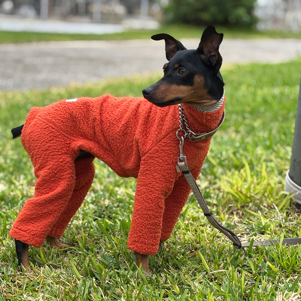 クリックで画像を表示