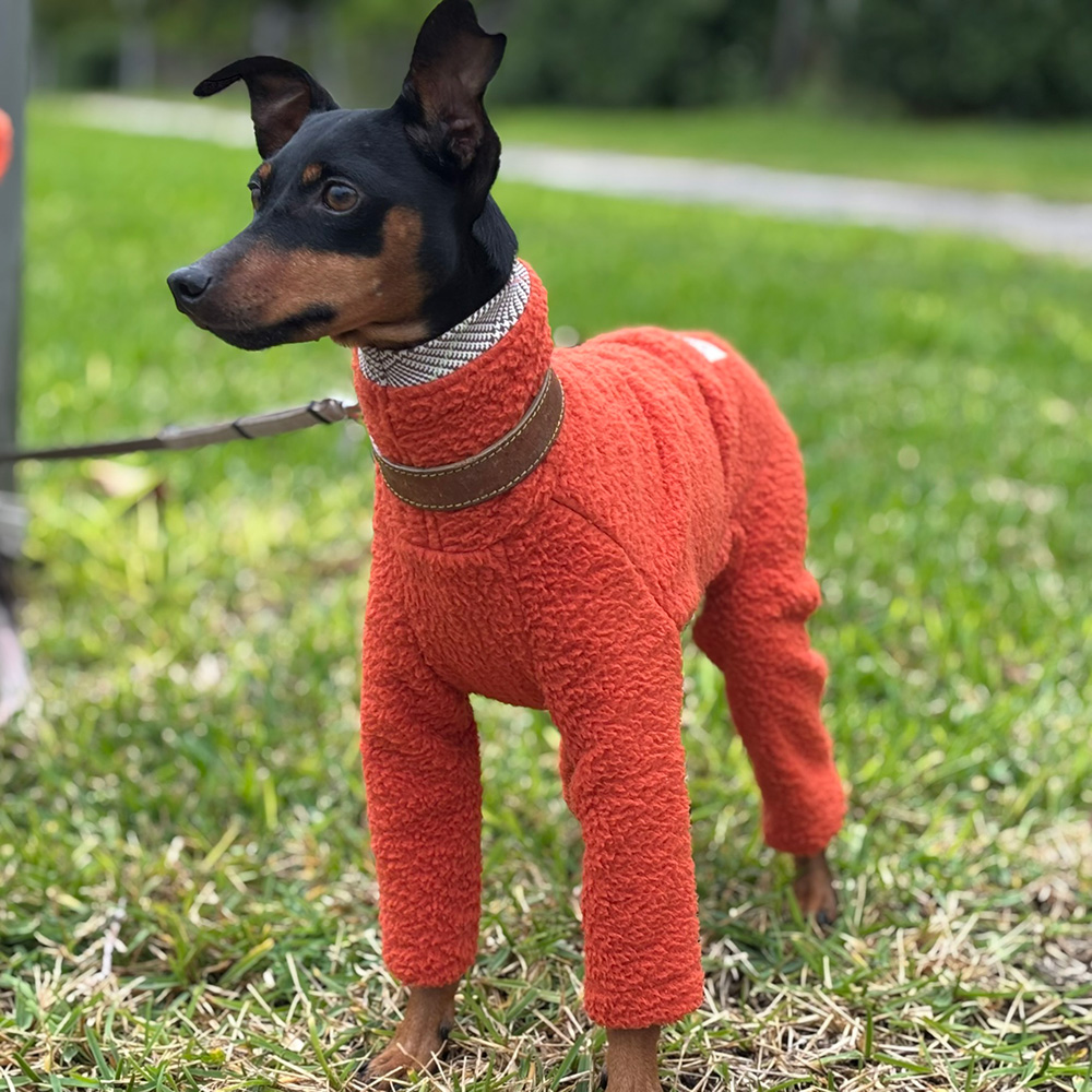 クリックで画像を表示