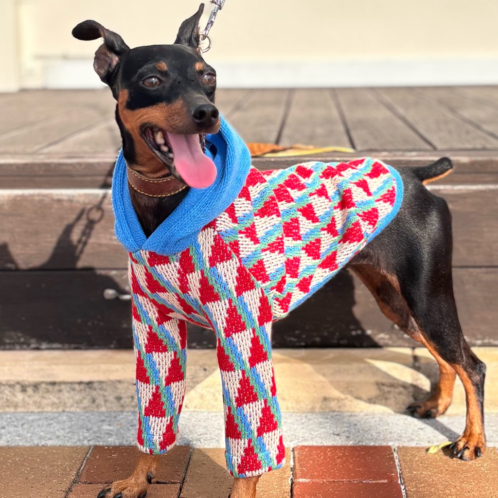 クリックで画像を表示