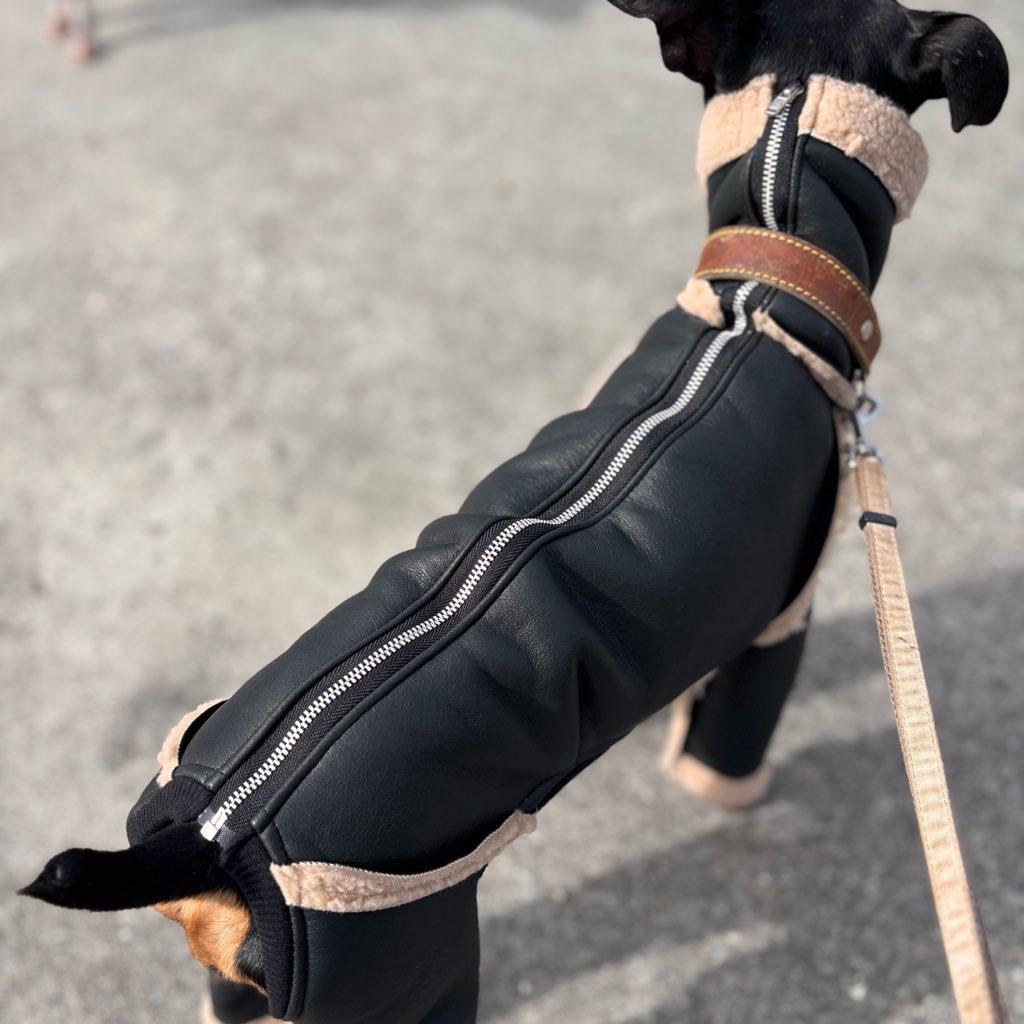 クリックで画像を表示