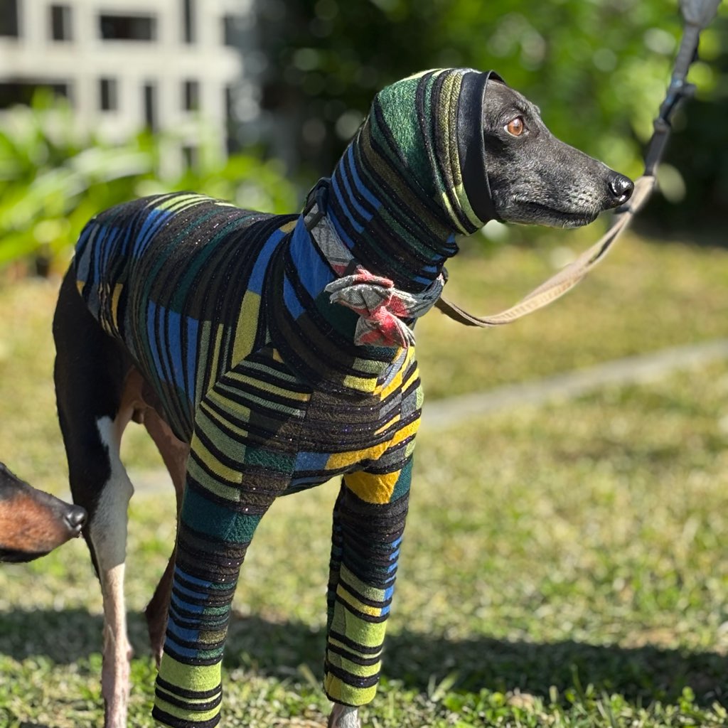 クリックで画像を表示