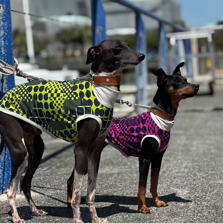 クリックで画像を表示