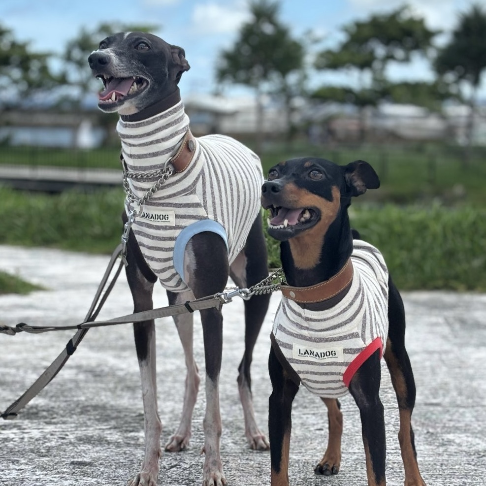 クリックで画像を表示