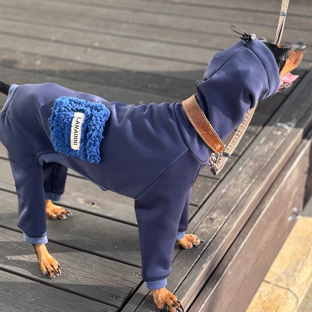 クリックで画像を表示