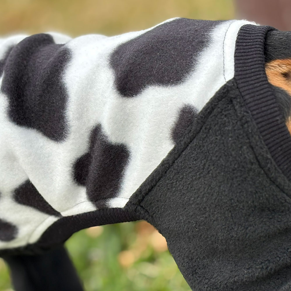 クリックで画像を表示