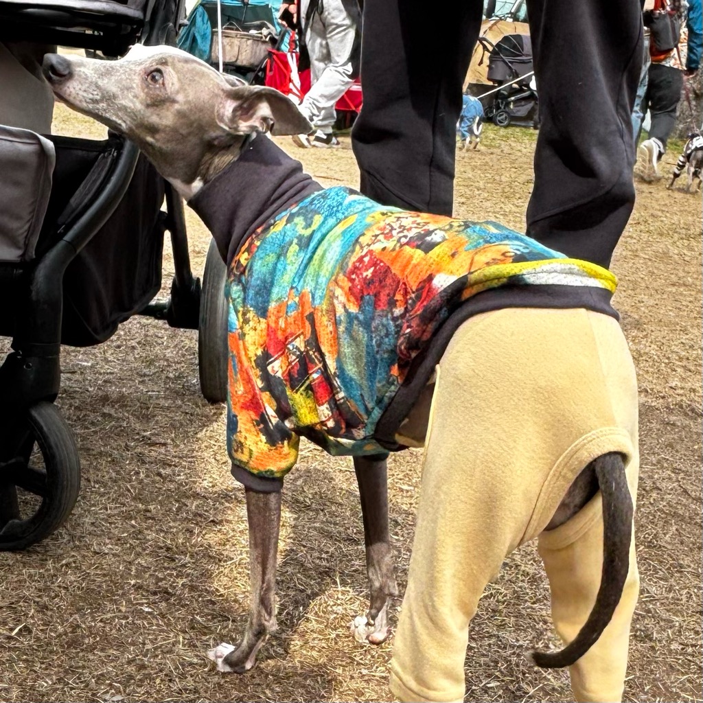 クリックで画像を表示