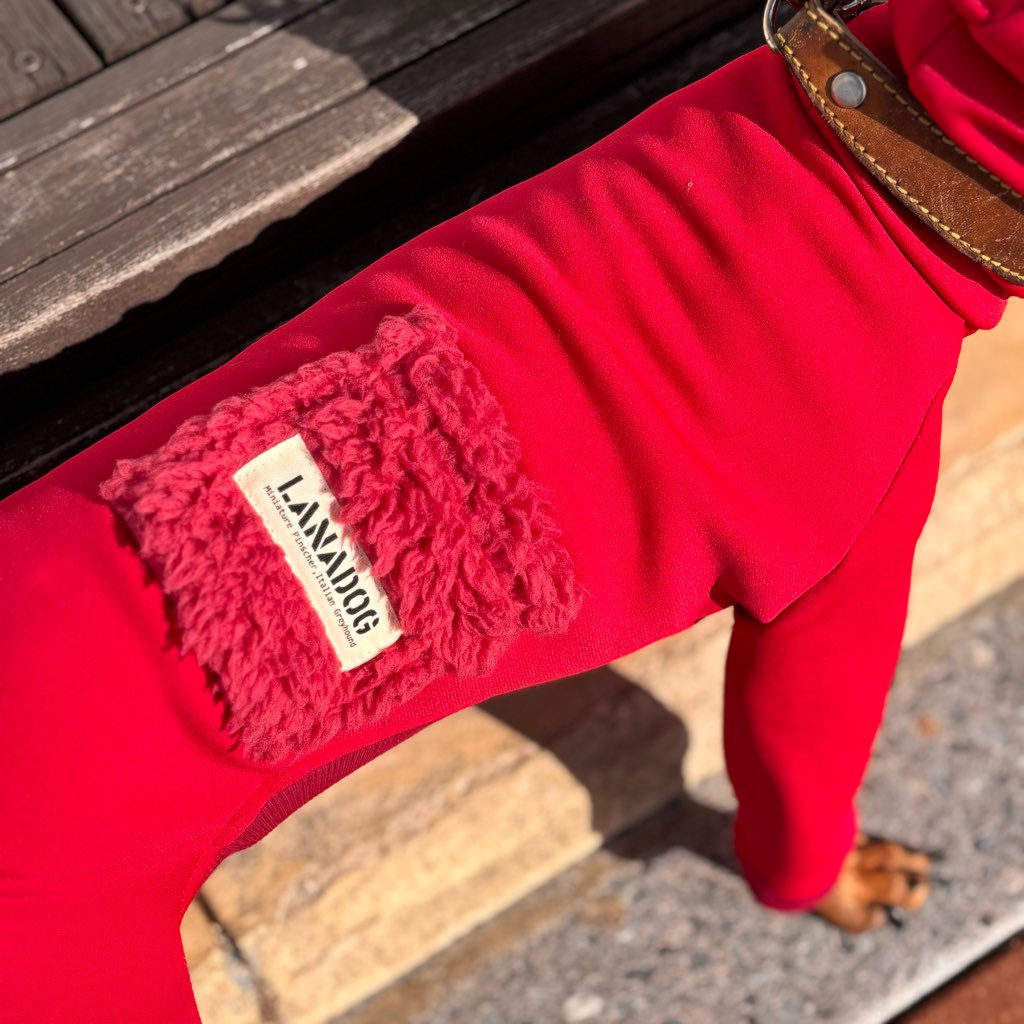 クリックで画像を表示