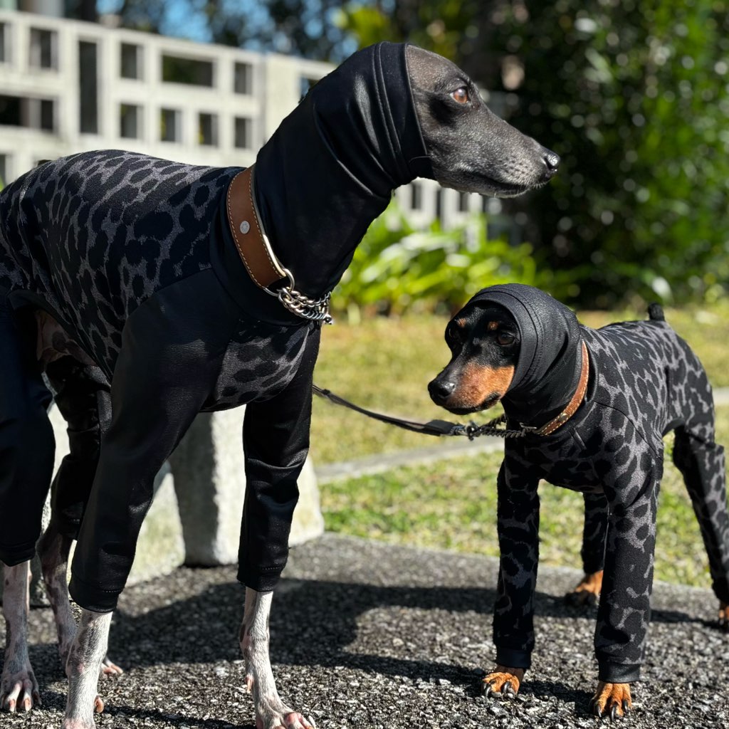 クリックで画像を表示