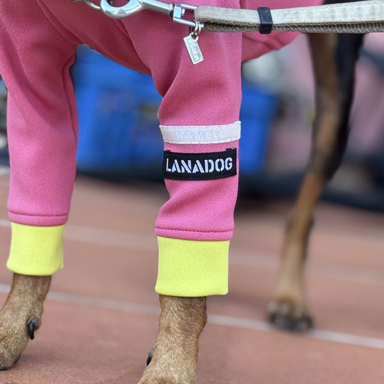 クリックで画像を表示