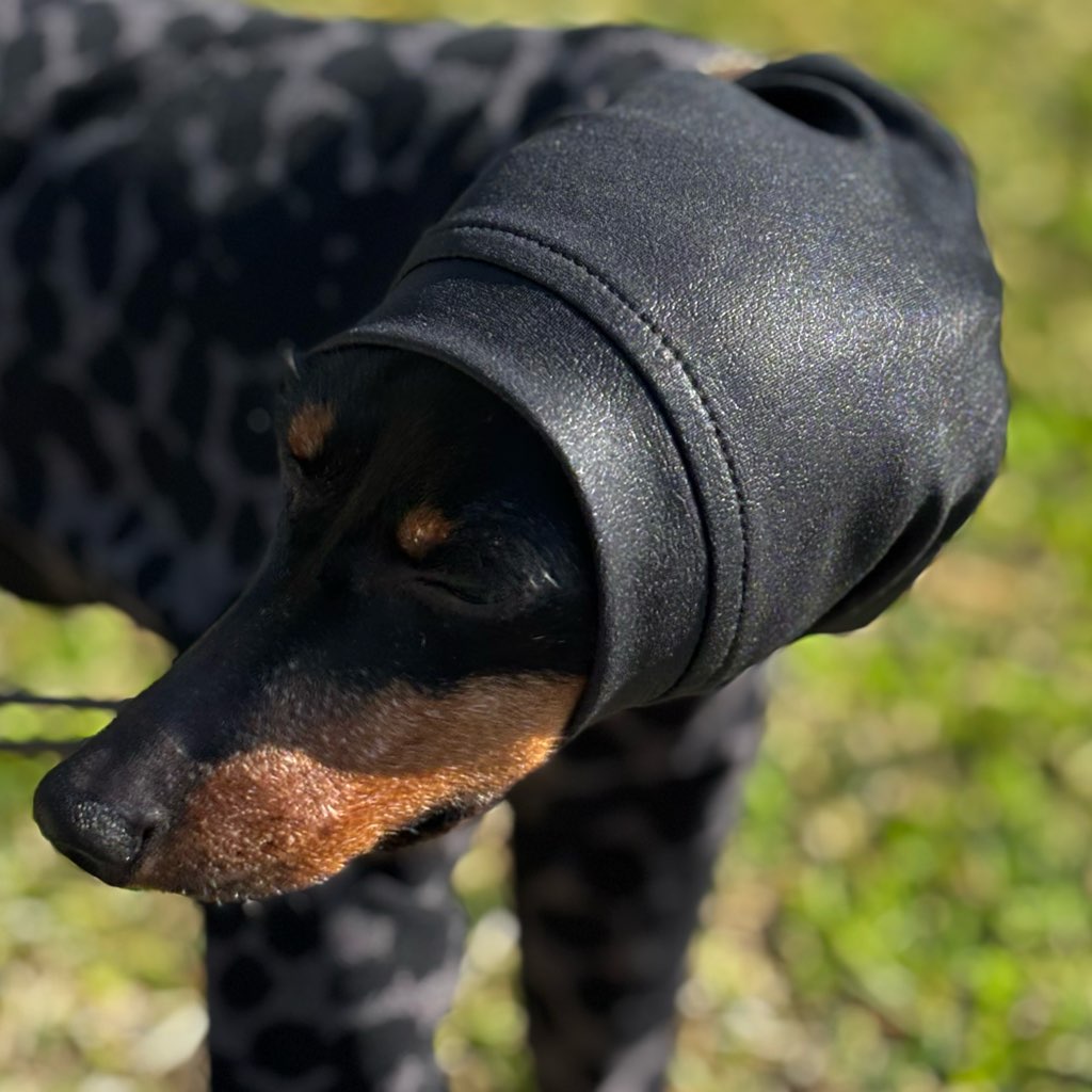 クリックで画像を表示