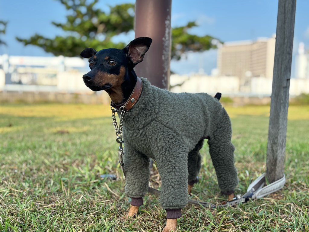 クリックで画像を表示