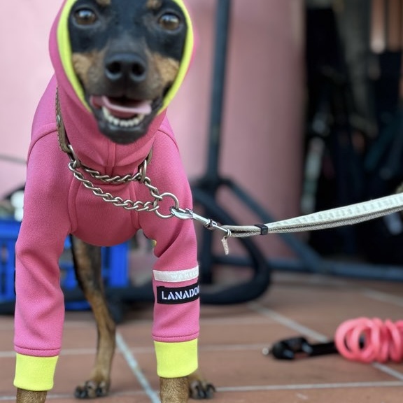 クリックで画像を表示