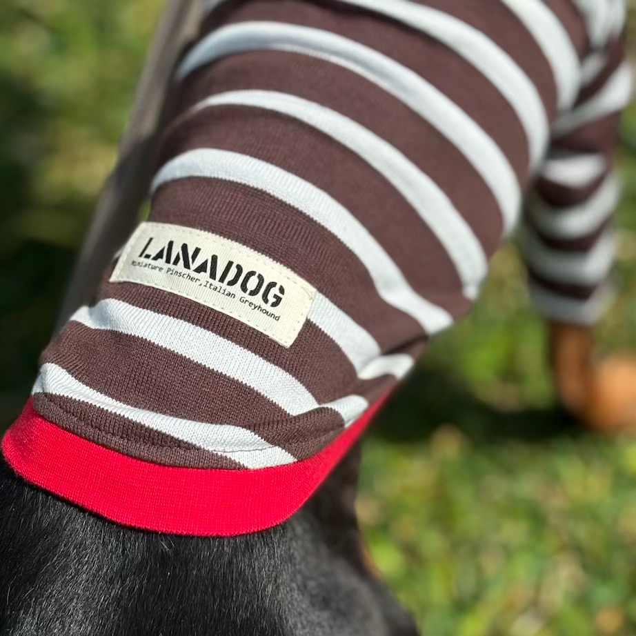 クリックで画像を表示