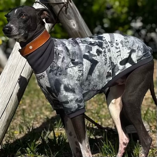 クリックで画像を表示