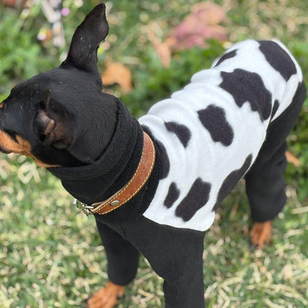 クリックで画像を表示