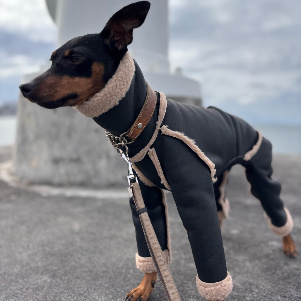 クリックで画像を表示