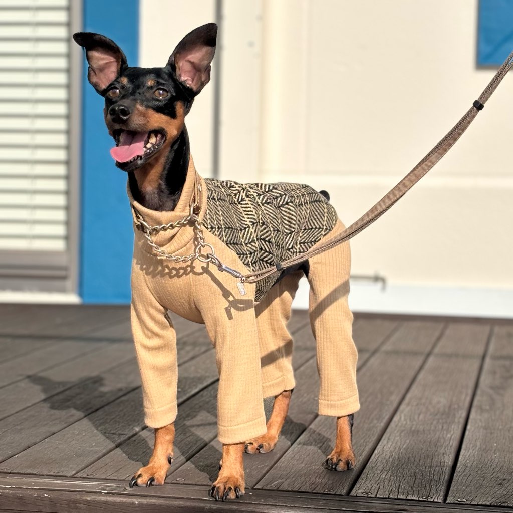 クリックで画像を表示