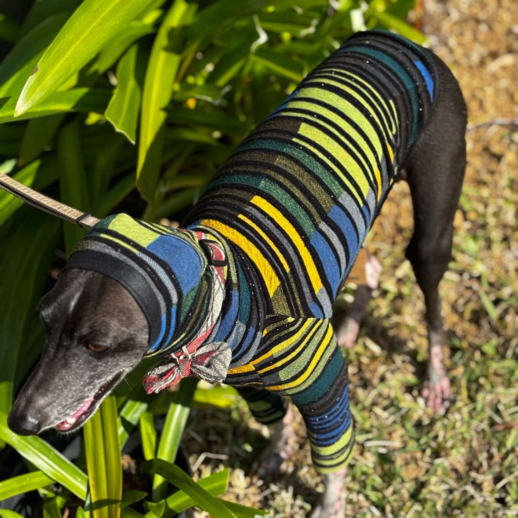 クリックで画像を表示