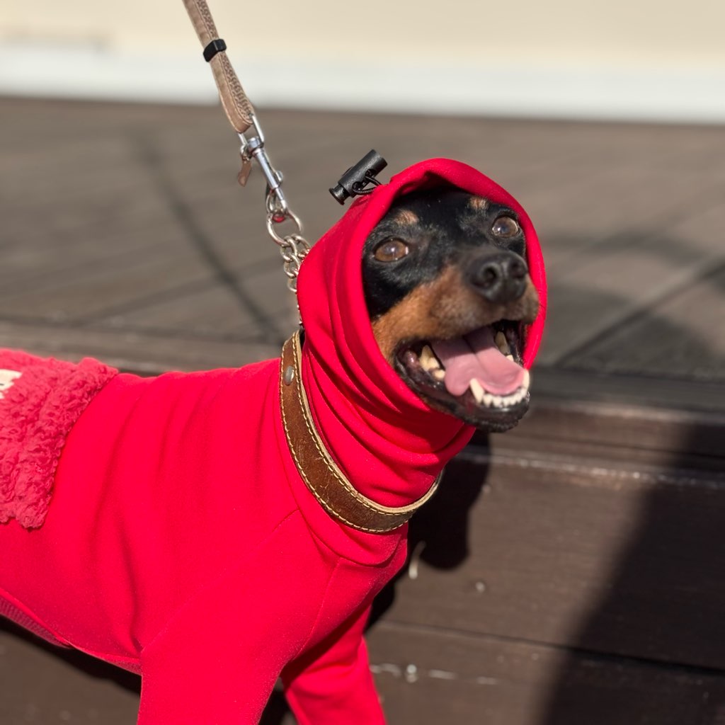 クリックで画像を表示