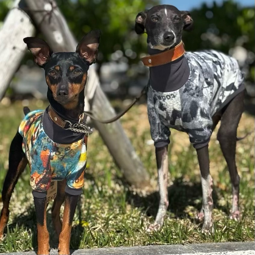 クリックで画像を表示