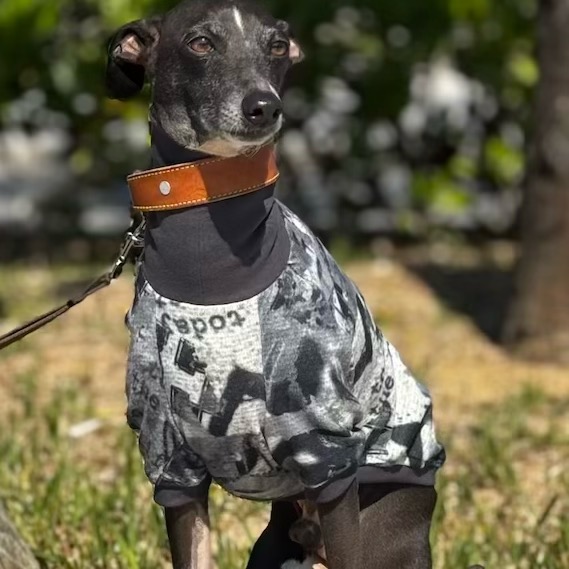 クリックで画像を表示