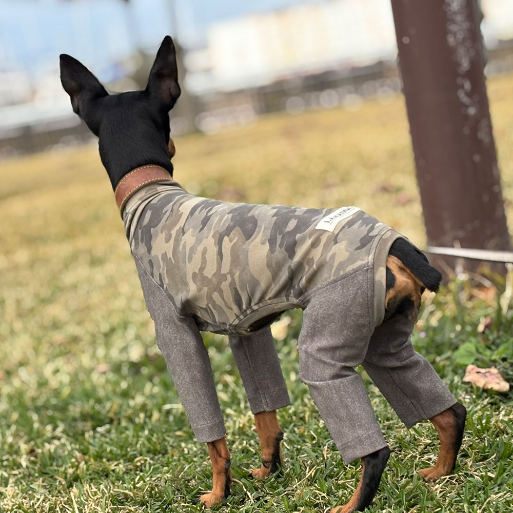 クリックで画像を表示