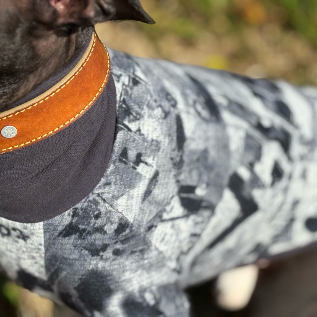 クリックで画像を表示