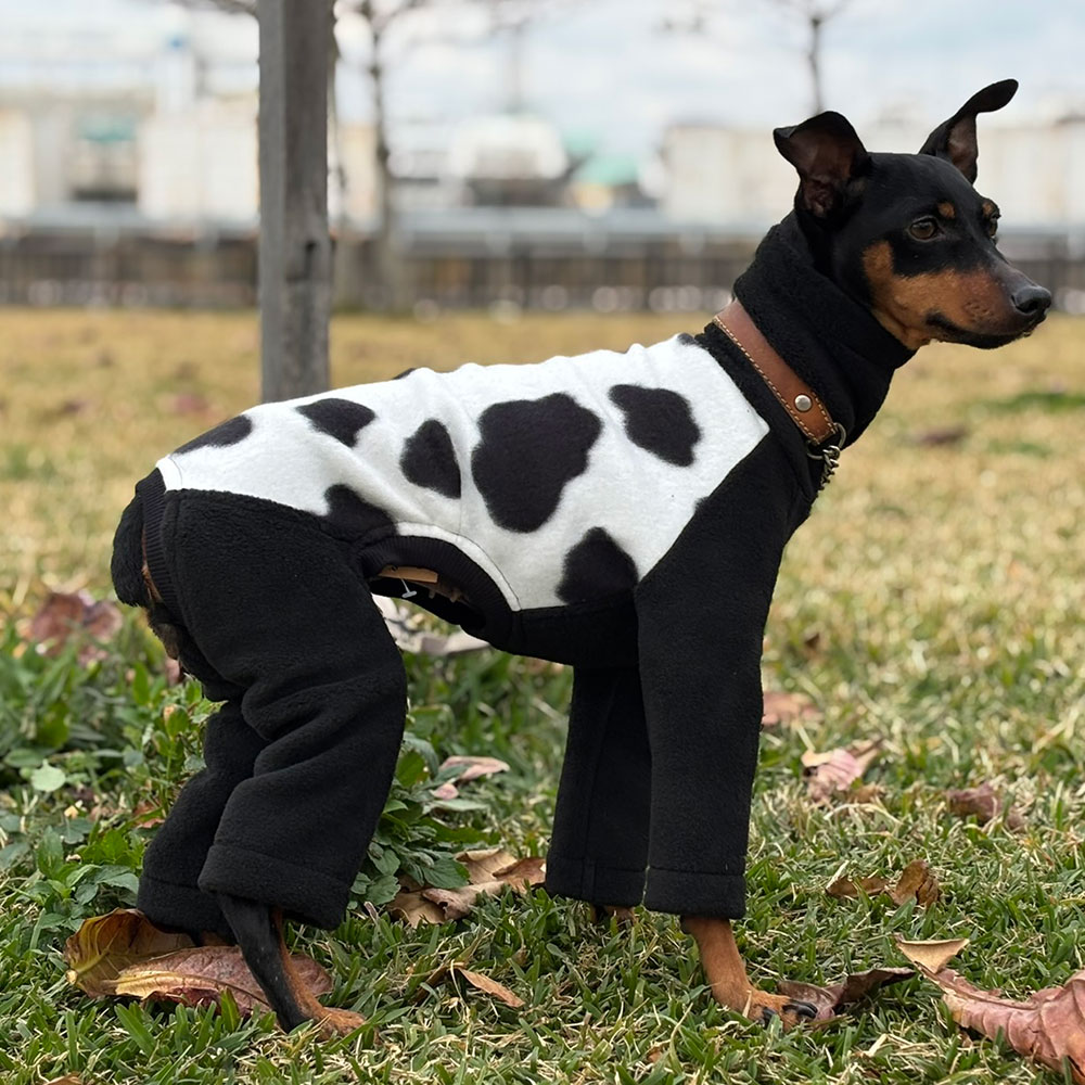 クリックで画像を表示